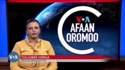 Tamsaasa Guyaadhaa Guyyaa