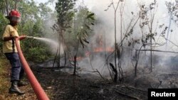 20일 인도네시아 리아우주의 숲에서 소방관들이 진화 작업에 나섰다.
