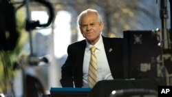 FILE - White House trade adviser Peter Navarro speaks during an interview at the White House in Washington, April 6, 2020.
