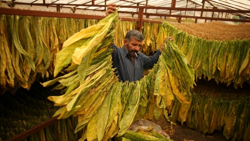 Rising Costs Hurt Turkey’s Tobacco Industry