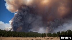 The Rim Fire burns in the background near the border of Yosemite National Park, California, Aug. 23, 2013. 