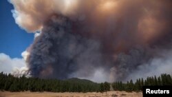 Poažri besne na odobu nacionalnog parka Josemiti