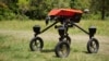 University of Sydney's autonomous robot 'SwagBot' moves around a field in Allynbrook, Australia, November 22, 2024. (REUTERS/Cordelia Hsu)
