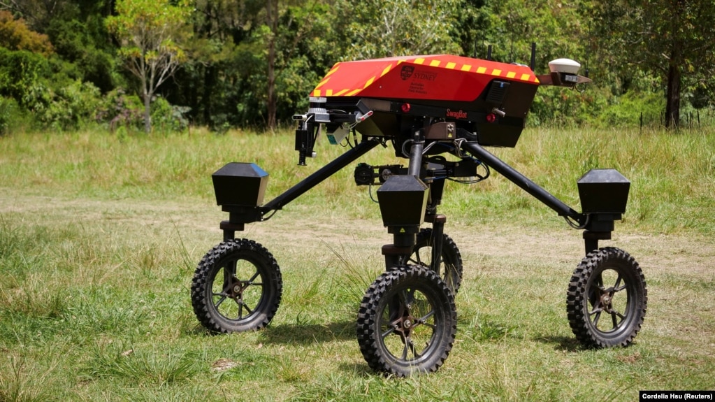 University of Sydney's autonomous robot 'SwagBot' moves around a field in Allynbrook, Australia, November 22, 2024. (REUTERS/Cordelia Hsu)