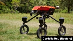 University of Sydney's autonomous robot 'SwagBot' moves around a field in Allynbrook, Australia, November 22, 2024. (REUTERS/Cordelia Hsu)
