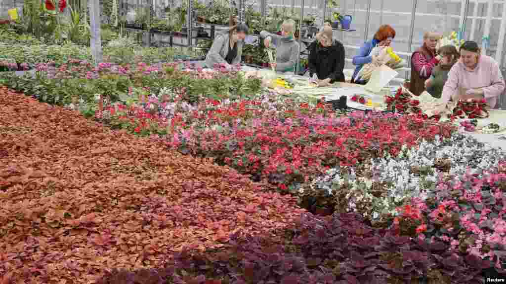 Municipal gardeners sort tulips to create bouquets during preparations for the upcoming International Women's Day in Kyiv, Ukraine, March 4, 2016. 