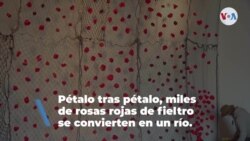 Miles de rosas rojas de fieltro honran a las víctimas de COVID-19 en Los Ángeles