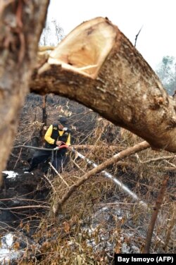 Seorang petugas pemadam kebakaran mencoba memadamkan api di hutan dan lahan gambut di sekitar Palangkaraya di Kalimantan Tengah pada 30 Oktober 2015. Foto: AFP/Bay Ismoyo)