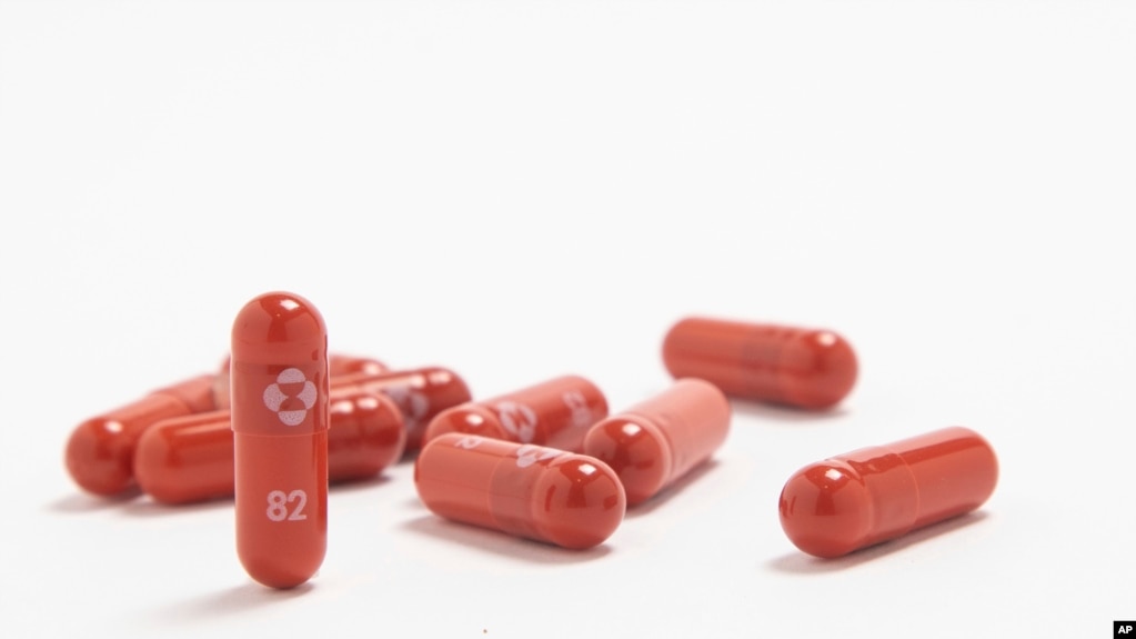 默克公司推出的口服抗新冠药物(photo:VOA)