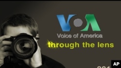 Kalendari Glasa Amerike za 2011.