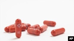 Obat antiviral COVID-19 yang diproduksi oleh Merck & Co. (Foto: Merck & Co. via AP, File)
