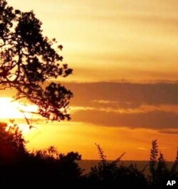 Dusk falls over Bucklands game park – another reserve that’s successfully reestablishing leopard in a unique part of South Africa