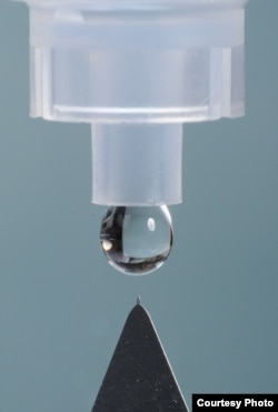 A solid microneedle coated with medication for delivery into the cornea is shown next to a liquid drop from a conventional eye dropper. (Georgia Tech Photo: Gary Meek)