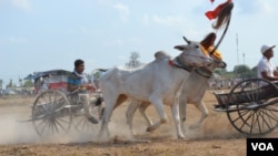 Activities during oxcart race in Rorleng Krel commune, Samrong Torng district, Kampong Speu province on April 07th, 2019. (Nem Sopheakpanha/VOA) 