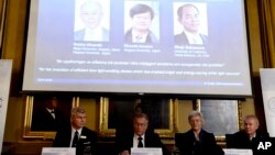 Dari kiri: Per Delsing, Staffan Nordmark, Anne L´Huillier dan Olle Inganas mengumumkan pemenang Nbel Fisika 2014 - Isamu Akasaki, Hiroshi Amano dan Shuji Nakamura - di Royal Swedish Academy of Science, Stockholm (7/10).