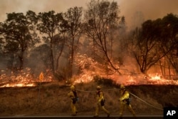 Firefighters battle a wildfire as it threatens to jump a street near Oroville, California, July 8, 2017.