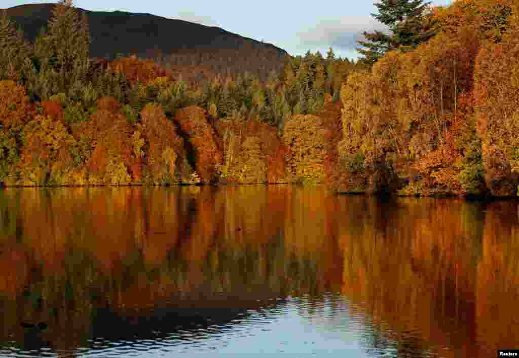 Autumn leaves are seen in Loch Faskally, Pitlochry, Scotland, Britain.