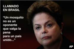 የብራዚል ፕሬዘዳንት ዲልማ ሮሰፍ (Dilma Rousseff)