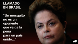 La presidenta brasileña, Dilma Rousseff, apeló a sus compatriotas para luchar contra el virus del Zika.