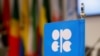 OPEC+ Agrees Small Oil Production Cut 