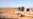 Chaos, Abuse Defy Solution in Libya