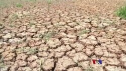 ထိုင်းနိုင်ငံ မိုးခေါင်မှု