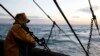 EU Bans Subsidized Fishing