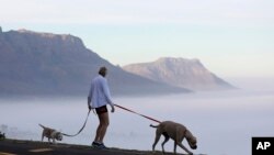 A woman walks her dogs in Cape Town, South Africa, May 1, 2020, as the government began a phased easing of its strict lockdown measures in a bid to cut down on the spread coronavirus. 