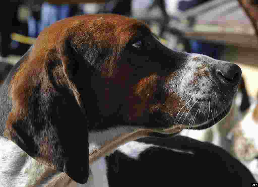 Нужен ли прошлогодний снег?