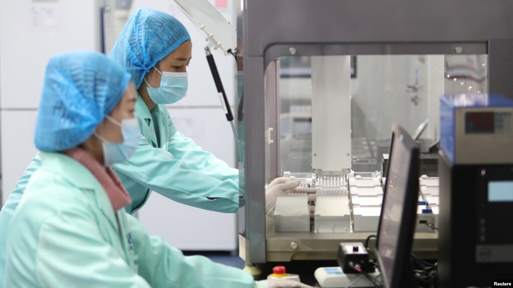 位于云南昆明的中国华大基因集团实验室的科技人员在工作。（2018年12月26日）(photo:VOA)