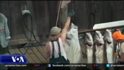 Derbi i Peshkimit, ngjarje e rëndësishme për një qytet në Alaska