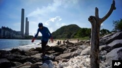 Seorang relawan ikut mengumpulkan gumpalan minyak sawit yang membeku di pantai Pulau Lamma, Hong Kong, Selasa (8/8). 