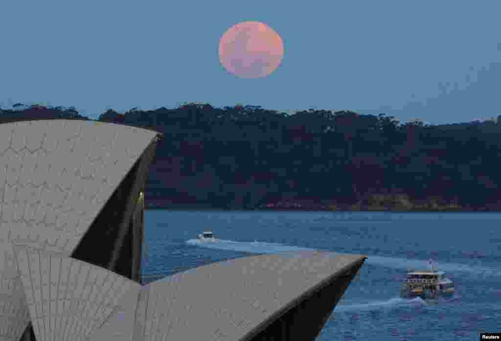 অস্ট্রেলিয়া