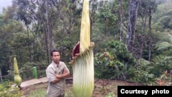 Holidin, penggerak pelestarian di Taman Konservasi Puspa Langka Tebat Monok, Kepahiang, Bengkulu. (foto: dok pribadi)