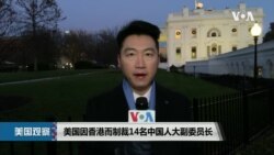 白宫要义: 美国因香港而制裁14名中国人大副委员长