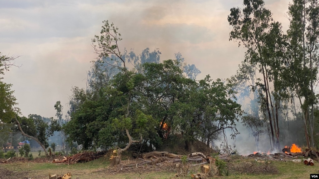 Forestry Commission of Zimbabwe says 300,000 hectares of forests destroyed annually by veld fires or cutting down of treats for energy. Photo taken on Nov. 3, 2021. (VOA/Columbus Mavhunga) 
