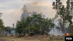 Forestry Commission of Zimbabwe says 300,000 hectares of forests destroyed annually by veld fires or cutting down of treats for energy. Photo taken on Nov. 3, 2021. (VOA/Columbus Mavhunga) 