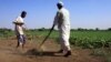 Innovation Labs Launched To Fight Hunger
