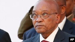 Tổng thống Zuma cho biết ông chưa bao giờ biết hay cố ý vi phạm hiến pháp, là luật tối cao của nước Cộng hòa.