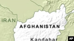 20 Militants Killed in Afghanistan Operations