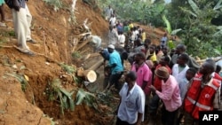 Residents of Bududa cut through trees and timber on June 26, 2012 as they try to get to victims of a mudslide in eastern Uganda, about 200 kilometers from the capital Kampala.