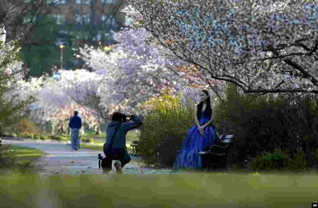 A photographer makes portraits of a model at Branch Brook Park in Newark, N.J., April 24, 2014.