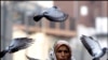 کبوتربازی کا انوکھاعالمی مقابلہ، میزبانی پاکستان کرے گا 