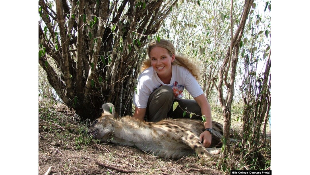Animals Offer Leadership Lessons to Humans Animals Offer Leadership Lessons to Humans