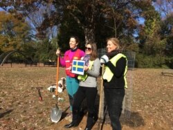 Eva Hunnius Ohlin, right, senior adviser for energy and environment at the Swedish Embassy, with two of her colleagues insisted on Swedish sovereignty in their planting effort. (Natalie Liu/VOA)