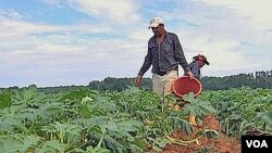 Los estadounidenses están profundamente divididos sobre qué hacer con la inmigración ilegal.