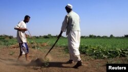 Sudanese farmers prepare their land for agriculture on the banks of the river Nile in Khartoum, November 2009 file photo.