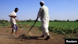 Sudanese farmers prepare their land for agriculture on the banks of the river Nile in Khartoum. Feed the Future aims to improve climate resilience in crops. 