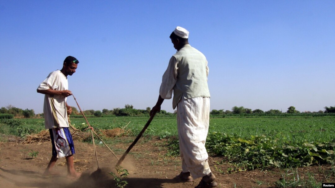 Sudanese farmers prepare their land for agriculture on the banks of the river Nile in Khartoum, November 2009 file photo.