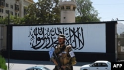 A member of the Taliban's Fateh, a special forces unit, stands guard outside the U.S. embassy in Afghanistan, now with a Taliban flag painted on in its outer concrete wall, in Kabul, Sept. 8, 2021. 